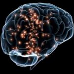 Brain Electrical Activation Profile (BEAP) test- Origin, Procedure and Admissibility in Law